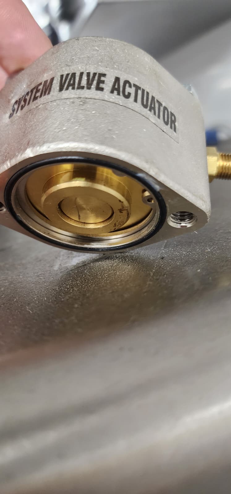 Close-up of a CaptiveAire TANK cylinder valve with the brass release solenoid actuator threaded onto the valve cap, an arming pin holding the actuator piston back, and a stainless steel pneumatic actuation hose teeing off to a secondary cylinder