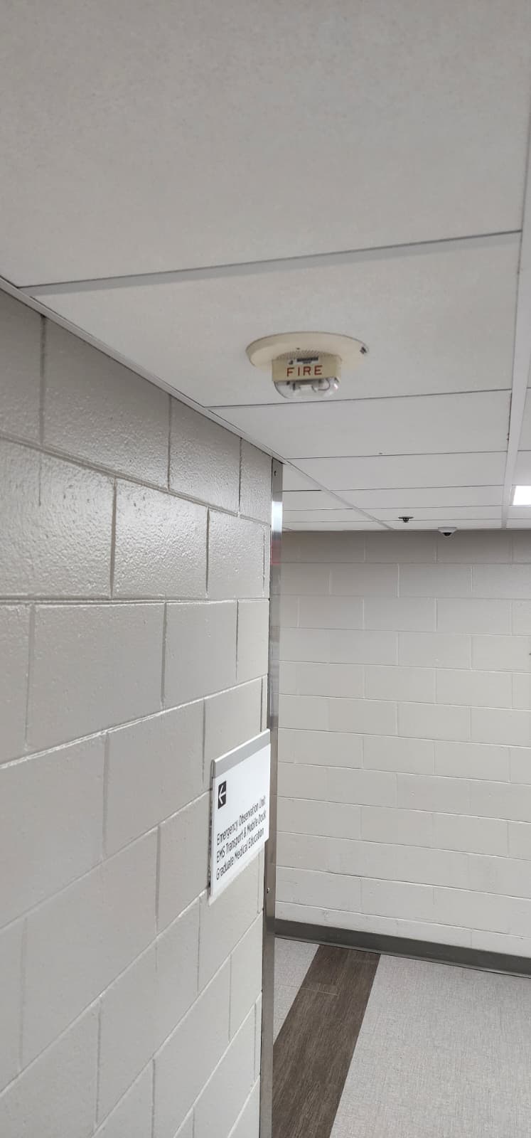 Ceiling-mounted fire alarm strobe appliance with clear lens and FIRE lettering, installed in a suspended acoustic tile ceiling