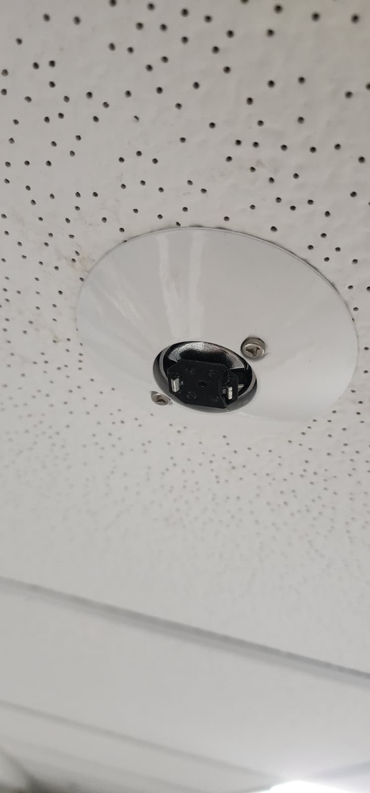 Concealed pendent sprinkler with its decorative cover plate removed, exposing the recessed sprinkler inside the cup