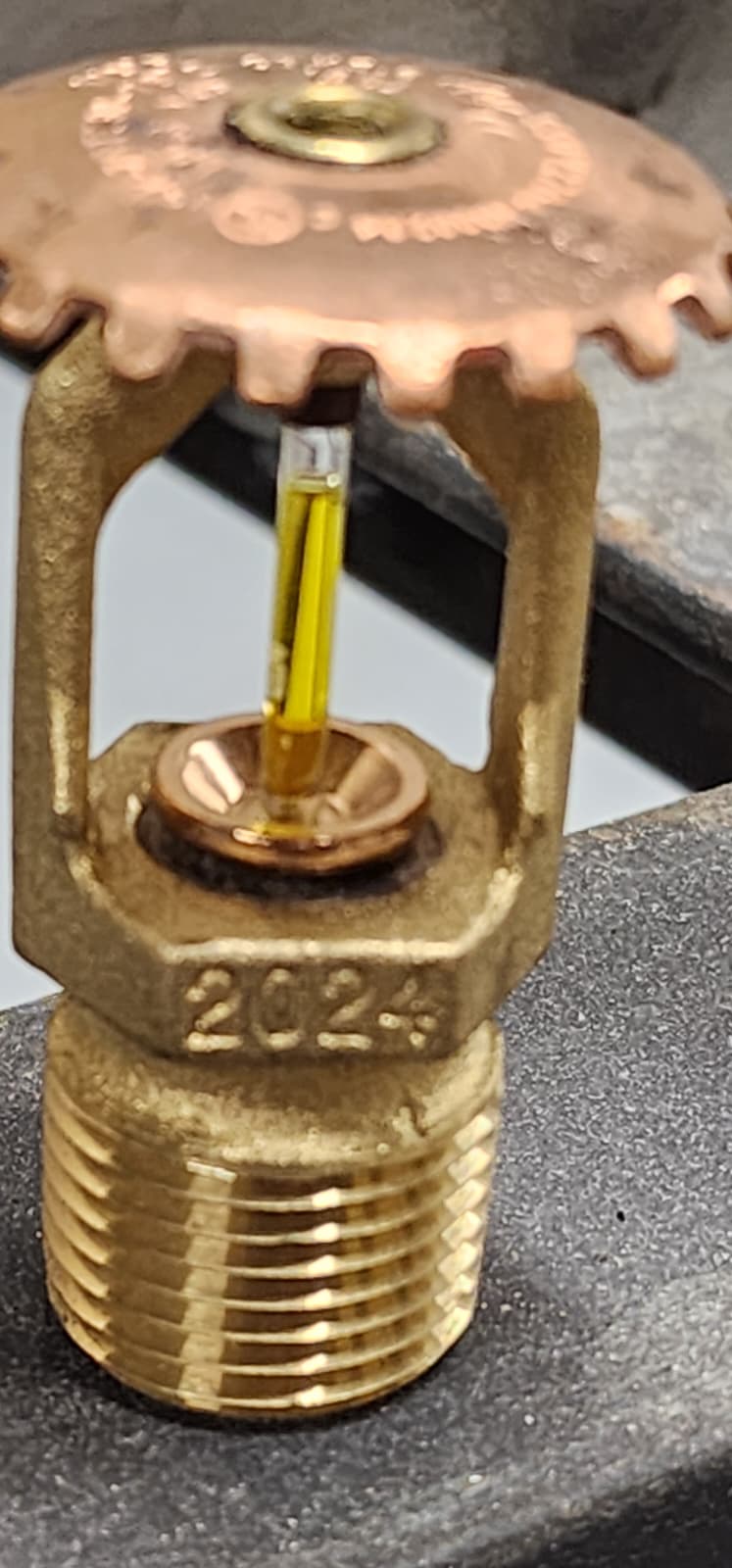 Brass upright sprinkler with a yellow 175°F glass bulb and the year 2024 cast into the frame