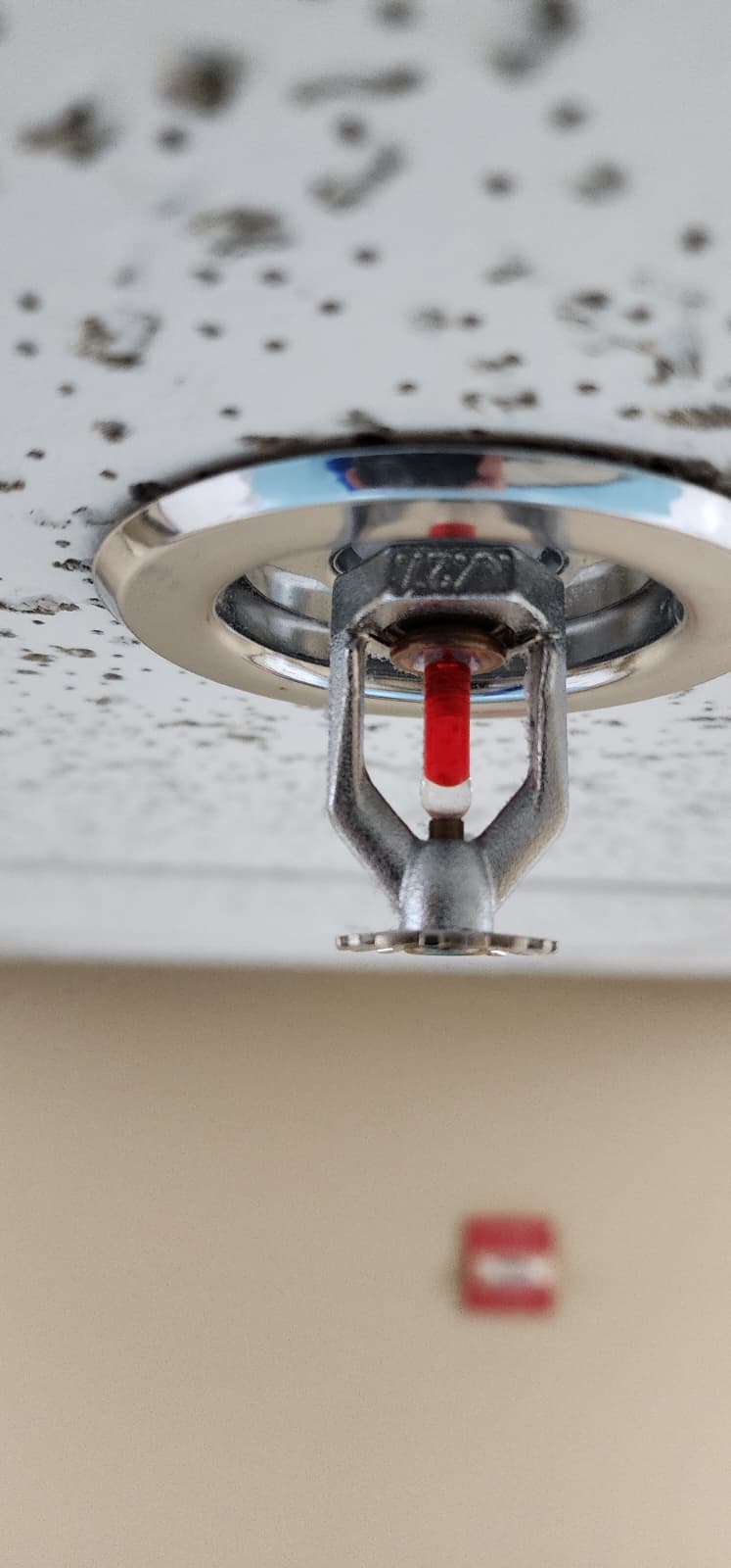 Standard-response pendant sprinkler head installed in a painted drywall ceiling — chrome escutcheon, three-armed frame, and red glass bulb visible