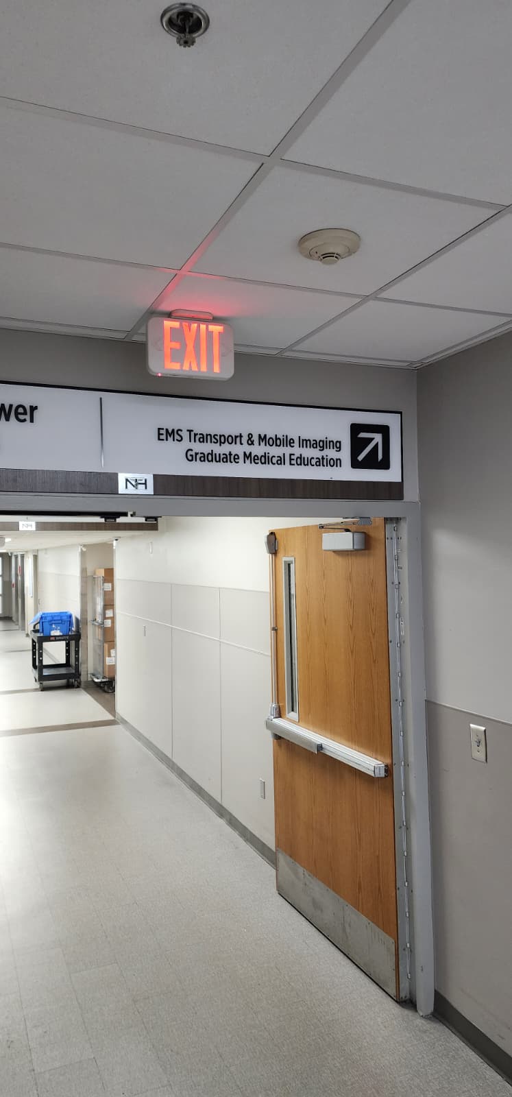 Ceiling-mounted smoke detector positioned adjacent to a fire-rated corridor door — the detector is wired to a magnetic door holder circuit and drops power to release the door when it senses smoke