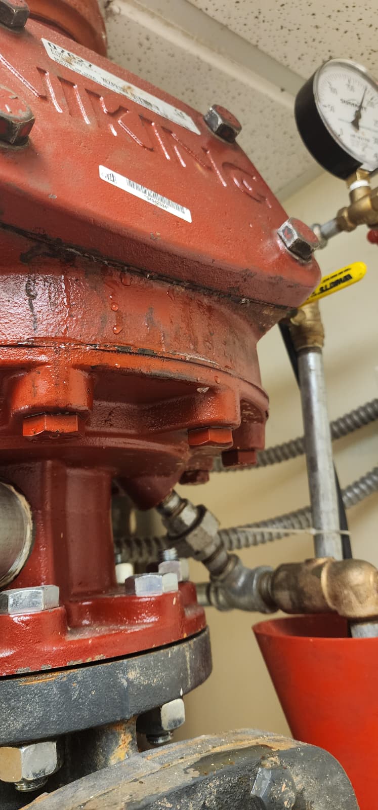Viking alarm check valve installed in pump room with trim piping, alarm line, and Summit pressure gauge